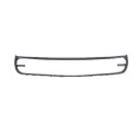 CORNICE GRIGLIA PARAURTI  ANTERIORE C/FENDINEBBIA  VW NEW BEETLE DAL  2001  12/05