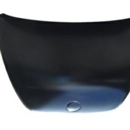COFANO ANT VW NEW BEETLE 01/11> -CAPA-