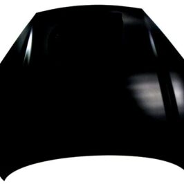 COFANO ANT HYUNDAI COUPE 07>
