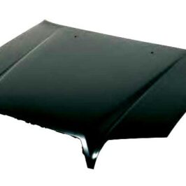 COFANO ANT TOYOTA 4 RUNNER 01/03>