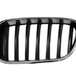 GRIGLIA A/SX CROM-NERA BMW X3 F25 01/10>