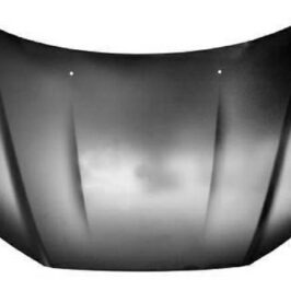 COFANO ANT MITSUB ASX 01/10>