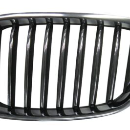 GRIGLIA A/SX CROM-CROM-NERA BMW SERIE 5 F07 GRAN TURISMO 01/13>