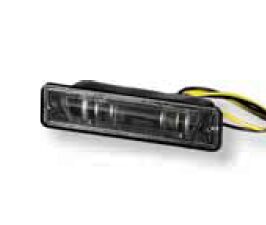 FANALE TARGA AUTOBIANCHI Y10 06/85>