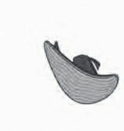 GR OTTICO RETROVISORE DX FUME RENAULT MODUS 09/04>