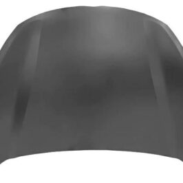 COFANO ANT DFSK GLORY 500 01/22>