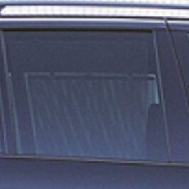 SCEND.P/DX FUME'BMW X5 00-07
