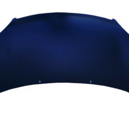 COFANO ANT PRIM SMART FORTWO  07/14>
