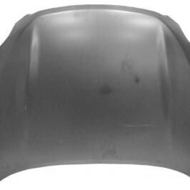 COFANO ANT TOYOTA RAV 4 02/10>