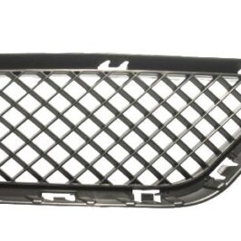 GRIGLIA P/TI A/DX BMW X1 E84 01/13>08/15