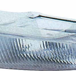 FEND SX H3 CHRYSLER VOYAGER 01/96>01/98