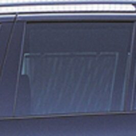SCEND.P/SX FUME'BMW X5 00-07