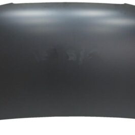 COFANO ANT SEAT MII 01/12>