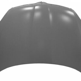 COFANO ANT SKODA FABIA/RO0MSTER 04/10>