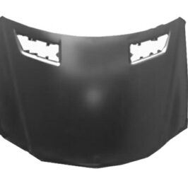 COFANO ANT MERCEDES CLASSE M W164 01/06>