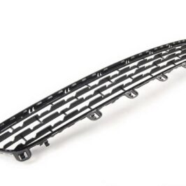 GRIGLIA P/TI ANT C/LE NERA BMW X5 F15 01/14> EXPERIENCE
