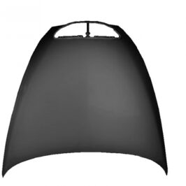 COFANO ANT LANCIA THESIS