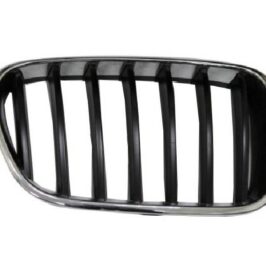 GRIGLIA A/DX CROM-NERA BMW X3 F25 01/10>