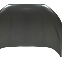 COFANO ANT FORD ECOSPORT 01/17>