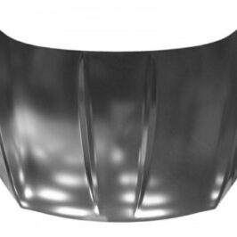 COFANO ANT FORD KUGA 01/12>