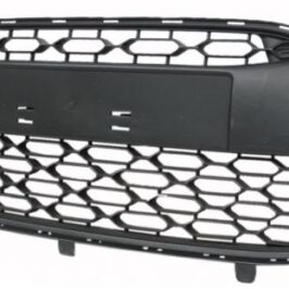 GRIGLIA P/TI ANT CITROEN C3 11/09>