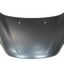 COFANO ANT FORD C-MAX 09/10>04/15