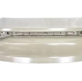 COFANO POST BYD SEAL 01/23>
