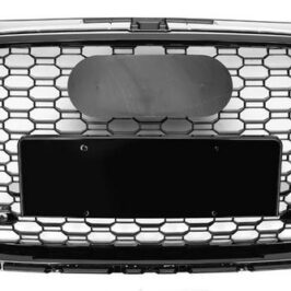 GRIGLIA NERA AUDI A1 RS1 11/14>