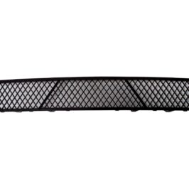 GRIGLIA P/TI ANT C/LE BMW SERIE 5 F07 GT  01/10>04/12