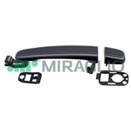 MAN. NERA A/DX+P/DX+SX P/307 01>
