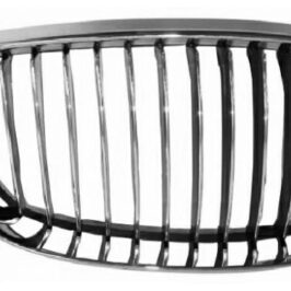 GRIGLIA A/DX CROM-CROM-NERA BMW SERIE 1 E81-E82-E87-E88 05/07>