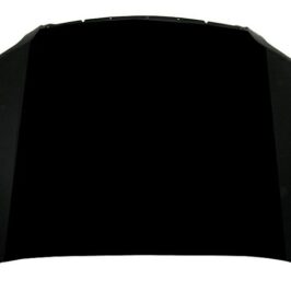 COFANO ANT TOYOTA LAND CRUISER PRADO 11/09>