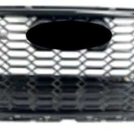 GRIGLIA NERA AUDI Q2 08/20>