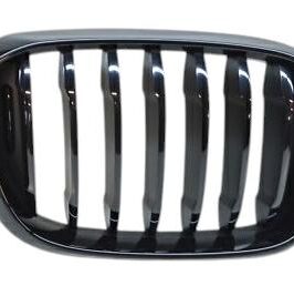 GRIGLIA A/DX NERA LUC BMW X3 G01 01/18> BMW X4 G02 04/18>
