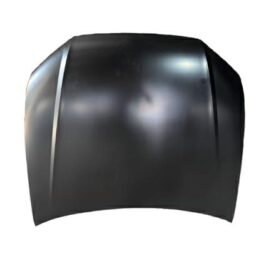 COFANO ANT AUDI Q8 01/18>