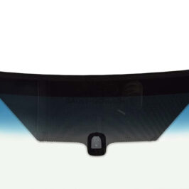 P.ZZA INC.VR ACU+FIN FOCUS 05>11 EC