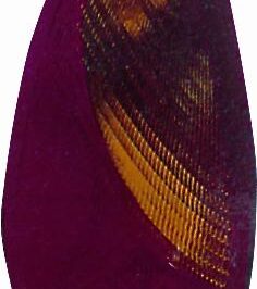 GR OTTICO P/SX ARANCIO ROSSO CHRYSLER PT CRUISER 01/01>