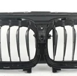 GRIGLIA INT BMW SERIE 5 G30 01/16> iPERFORMANCE