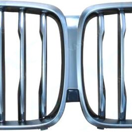 GRIGLIA CERIUM BMW X5 G05 08/18> M50