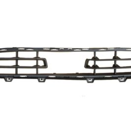 GRIGLIA P/TI ANT C/LE BMW SERIE 1 F40 07/19> BASIS