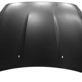 COFANO ANT FORD FOCUS 09/14> -TUV-