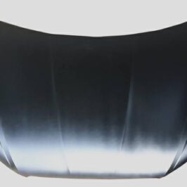 COFANO ANT SEAT IBIZA 01/17>