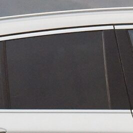 SCEND.P/DX VENUS BMW X1 F48 2015>C/FORO