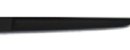 MODAN PORTA P/SX RENAULT CLIO 09/05>05/09 5P