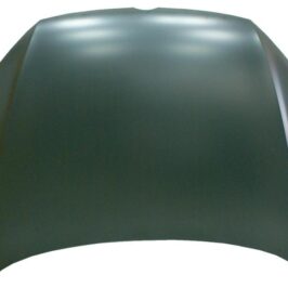 COFANO ANT VW PASSAT 10/10>