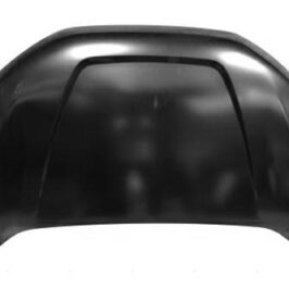 COFANO ANT FORD EDGE 01/19>