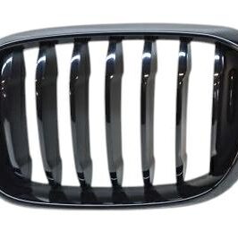 GRIGLIA A/SX NERA LUC BMW X3 G01 01/18> BMW X4 G02 04/18>