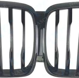 GRIGLIA NERA VISIONE NOTTURNA BMW X5 G05 08/18>
