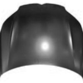 COFANO ANT CITROEN C5 01/08>