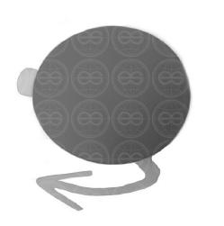 COPRIGANCIO ANT PRIM FORD PUMA 01/20> TITANIUM
